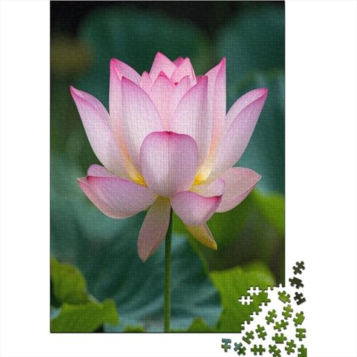 Lotus 1000 Teile, Impossible Puzzle,Geschicklichkeitsspiel Für Die Ganze Familie, Erwachsenenpuzzle Ab 14 Jahren Puzzel 1000pcs (75x50cm) von BXYAFEKUD