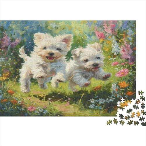 Maltese Hund Puzzle 1000 Teile Erwachsener Kniffel Spaß Für Die Ganze Familie - Abwechslungsreiche 1000 Puzzleteilige Motive Puzzlespiel Erwachsene, Puzzel 1000pcs (75x50cm) von BXYAFEKUD