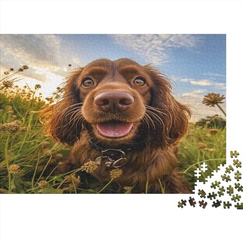 Pastoral Hund Puzzle 1000 Teile Puzzles Für Erwachsene Lernspiel Herausforderungsspielzeug 1000-teilige Puzzlespiel Für Erwachsene Kinder Puzzel 1000pcs (75x50cm) von BXYAFEKUD