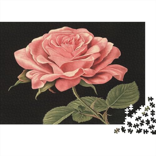 Rose 1000 Stück Puzzles Für Erwachsene Teenager Stress Abbauen Familien-Puzzlespiel 1000-teiliges Puzzle Kinder Lernspiel Spielzeug Geschenk Puzzel 1000pcs (75x50cm) von BXYAFEKUD