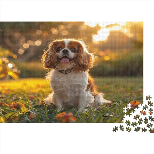 Schwanzer Spaniel 1000 Stück Puzzles Für Erwachsene Teenager Stress Abbauen Familien-Puzzlespiel 1000-teiliges Puzzle Kinder Lernspiel Spielzeug Geschenk Puzzel 1000pcs (75x50cm) von BXYAFEKUD