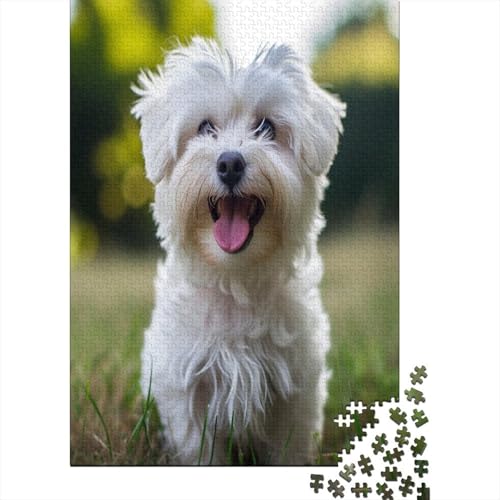 Shih Tzu. 1000 Teile, Impossible Puzzle,Geschicklichkeitsspiel Für Die Ganze Familie, Erwachsenenpuzzle Ab 14 Jahren Puzzel 1000pcs (75x50cm) von BXYAFEKUD