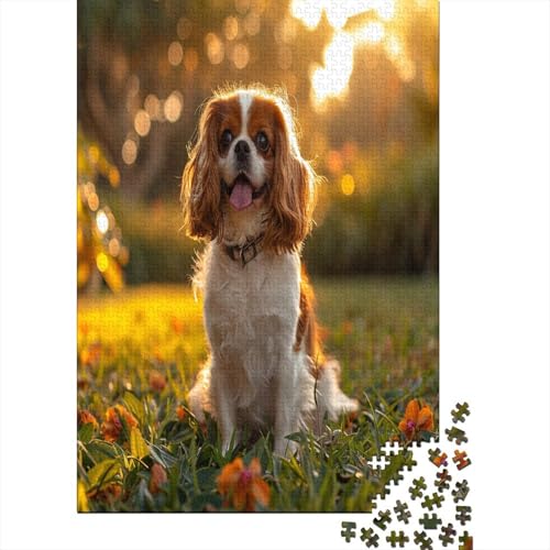 Shih Tzu. Puzzlespiel 1000 Teile Puzzle Für Erwachsene Und Kinder Ab 14 Jahren, Puzzle Erwachsenen Puzzlespi Puzzel 1000pcs (75x50cm) von BXYAFEKUD