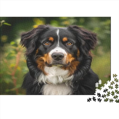 Springer Spaniel 1000 Stück Puzzles Für Erwachsene Teenager Stress Abbauen Familien-Puzzlespiel 1000-teiliges Puzzle Kinder Lernspiel Spielzeug Geschenk Puzzel 1000pcs (75x50cm) von BXYAFEKUD