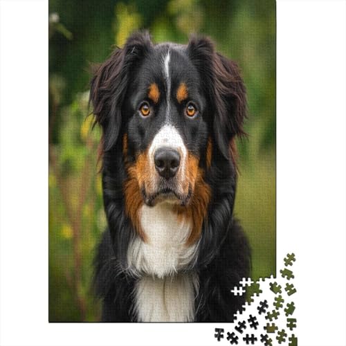 Springer Spaniel 1000 Stück Puzzles Für Erwachsene Teenager Stress Abbauen Familien-Puzzlespiel 1000-teiliges Puzzle Kinder Lernspiel Spielzeug Geschenk Puzzel 1000pcs (75x50cm) von BXYAFEKUD