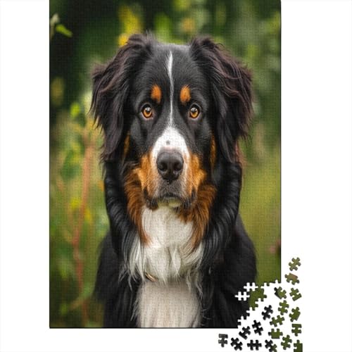 Springer Spaniel Puzzle 1000 Teile, Erwachsene, Klassische Puzzle, Impossible Puzzle,Geschicklichkeitsspiel Für Die Ganze Familie Erwachsenenpuzzle Ab 14 Jahren Puzzel 1000pcs (75x50cm) von BXYAFEKUD