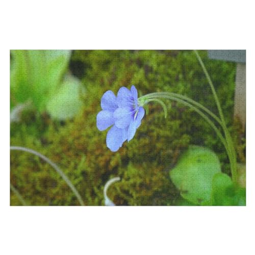 Blue Purple Flowers, Petals，für Familie Freunde Dekorativ，1000 StüCk，，Lernspielzeug FüR Kinder 75x50Holz von BYErz