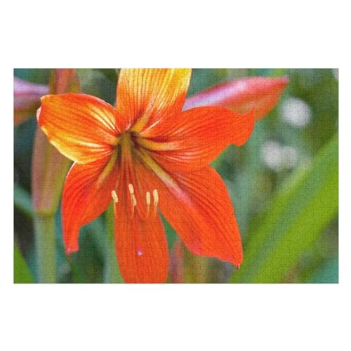 Orange Petals Lily Flower，für Familie Freunde Dekorativ，1000 StüCk，，Lernspielzeug FüR Kinder 52x38Papier von BYErz