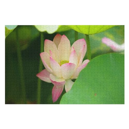 Pink Lotus, Petals, Flower, Green Leaves，Puzzle für Erwachsene und Kinder ab 14 Jahren, 1000 StüCk，，Lernspielzeug FüR Kinder 52x38Papier von BYErz