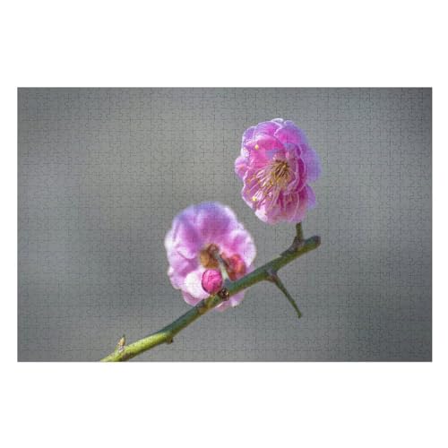 Pink Plum Flowers, Twigs，Klassische Puzzle für Erwachsene Teenager Freizeit Spaß Spiel Spielzeug Geeignet，，Lernspielzeug FüR Kinder 52x38Papier von BYErz