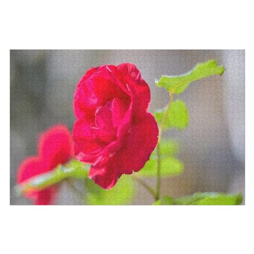 Red Rose Flower, Petals, Green Leaves ，Puzzle für Erwachsene und Kinder ab 14 Jahren, 1000 StüCk，，Lernspielzeug FüR Kinder 38x26Papier von BYErz