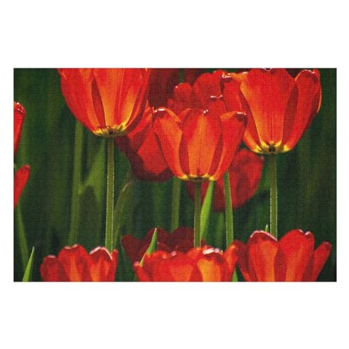 Red Tulips ，Puzzle für Erwachsene und Kinder ab 14 Jahren, 1000 StüCk，，Lernspielzeug FüR Kinder 75x50Holz von BYErz