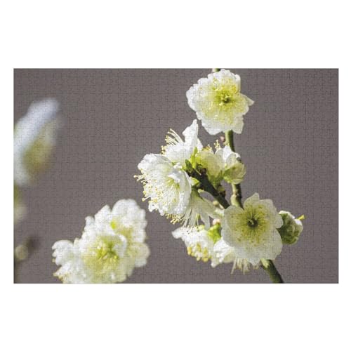 Spring, White Peach Flowers Bloom, Petals, Twigs，für Familie Freunde Dekorativ，1000 StüCk，，Lernspielzeug FüR Kinder 70x50Papier von BYErz