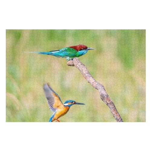 Two Kingfisher, Beautiful Feathers, Tree Branch，Puzzle für Erwachsene und Kinder ab 14 Jahren, 1000 StüCk，，Lernspielzeug FüR Kinder 38x26Papier von BYErz