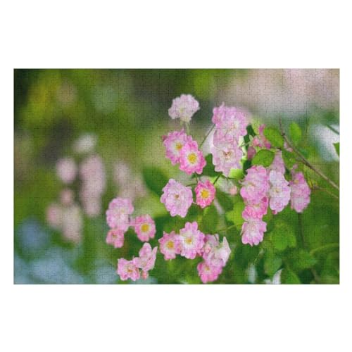 pink Rose Flowers, Green Leaves, Spring，für Familie Freunde Dekorativ，1000 StüCk，，Lernspielzeug FüR Kinder 38x26Papier von BYErz