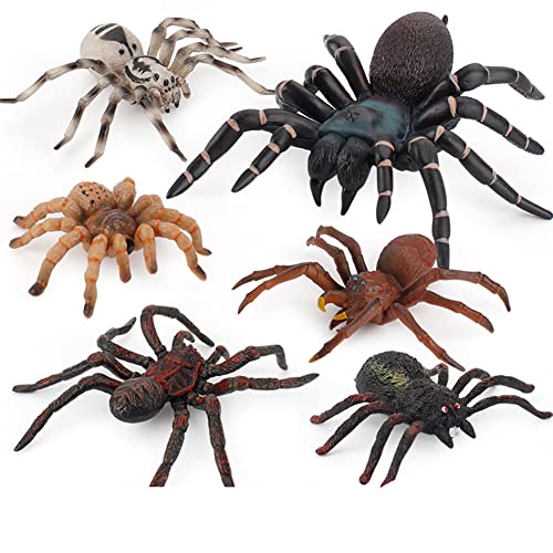 BYNYXI 6 Stücke Spinne Tierfiguren, Realistische Insekten Spinne Spielzeug PVC Modell Halloween Fasching Spinne Insekt Action Gruselige Spinnen Spielzeugfiguren Pädagogisches Spielzeug für Kinder BYNYXI 6 Stücke Spinne Tierfiguren, Realistische Insekten Spinne Spielzeug PVC Modell Halloween Fasching Spinne Insekt Action Gruselige Spinnen Spielzeugfiguren Pädagogisches Spielzeug für Kinder von BYNYXI
