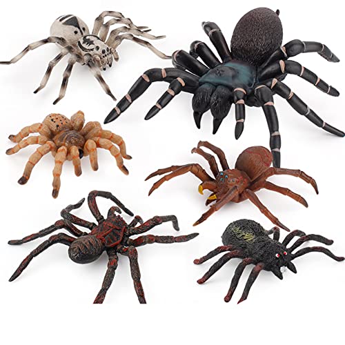 6 Stücke Spinne Tierfiguren, Realistische Insekten Spinne Spielzeug PVC Modell Halloween Fasching Spinne Insekt Action Gruselige Spinnen Spielzeugfiguren Pädagogisches Spielzeug für Kinder von BYNYXI