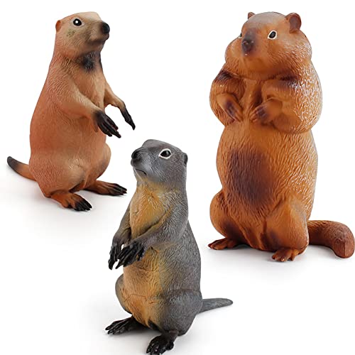 BYNYXI 3 PCS Murmeltier Spielfigur Spielzeug, 4-11cm Realistisch Murmeltier Tierfiguren PVC Kunstoff Wildtiere Sammelbar Murmeltier Tortenfigur oder Frühe Erziehung Geschenk für Kinder ab 3 Jahren BYNYXI 3 PCS Murmeltier Spielfigur Spielzeug, 4-11cm Realistisch Murmeltier Tierfiguren PVC Kunstoff Wildtiere Sammelbar Murmeltier Tortenfigur oder Frühe Erziehung Geschenk für Kinder ab 3 Jahren von BYNYXI