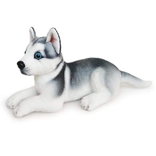 BYNYXI 30cm Liegende Plüschhusky Kuscheltier, Stofftiere Husky Akita Hund Lebensecht Braun Grau Plüsch Puppe Hund Plüschhusky Plüschtier Stofftier Spielzeug für Kinder Jungen Mädchen Geschenk BYNYXI 30cm Liegende Plüschhusky Kuscheltier, Stofftiere Husky Akita Hund Lebensecht Braun Grau Plüsch Puppe Hund Plüschhusky Plüschtier Stofftier Spielzeug für Kinder Jungen Mädchen Geschenk von BYNYXI