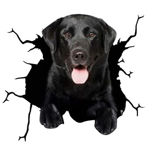BYNYXI 4 Stück Hund Auto Aufkleber, 3D Labrador Aufkleber für Auto Personalisierte Aufkleber Lustige Französische Bulldogge Autoaufkleber Realistische Riss Hund Vinyl Autofenster Aufkleber-30cmx30cm BYNYXI 4 Stück Hund Auto Aufkleber, 3D Labrador Aufkleber für Auto Personalisierte Aufkleber Lustige Französische Bulldogge Autoaufkleber Realistische Riss Hund Vinyl Autofenster Aufkleber-30cmx30cm von BYNYXI