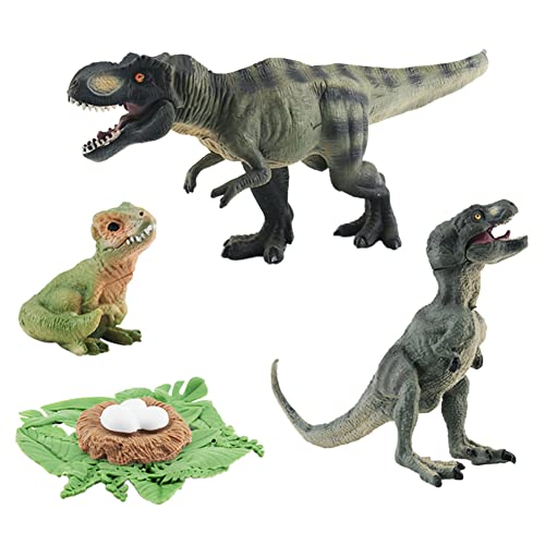 BYNYXI Tiere Lebenszyklus Dinosaurier, 4 Stufen Lebenszyklus Einer Flugsaurier Tyrannosaurus PVC Tiermodell Wissenschaft Modell Dino Tierfiguren Frühes Biologie Pädagogisches Lernspielzeug für Kinder von BYNYXI