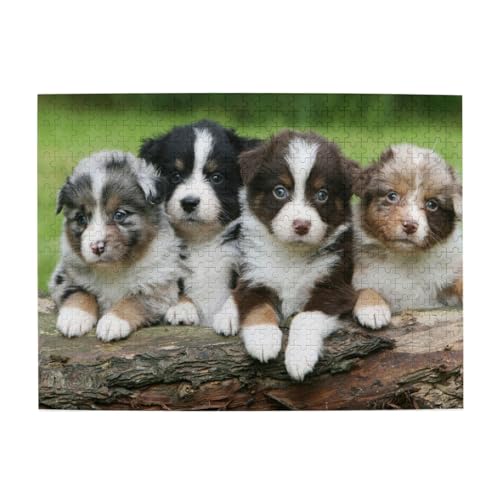 Australian Shepherd Kleine Welpen Quartett, 500 Teile Puzzle für Erwachsene – Holzpuzzle für Erwachsene und ältere Menschen Australian Shepherd Kleine Welpen Quartett, 500 Teile Puzzle für Erwachsene – Holzpuzzle für Erwachsene und ältere Menschen von BYwenhopnbs