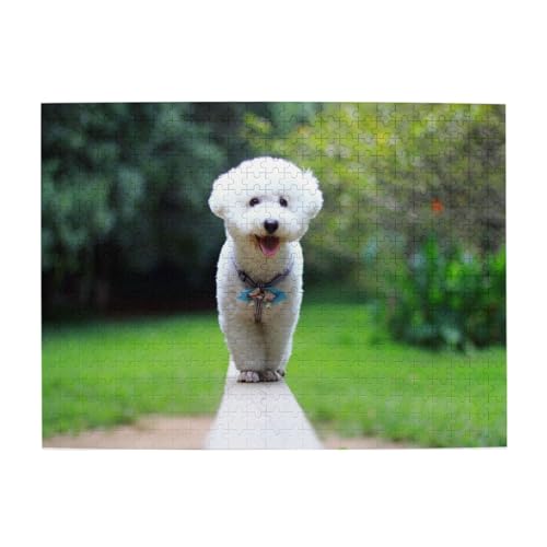 Bichon Frise Bokeh Pets Dogs Park Weiße Hunde, 500-teiliges Puzzle für Erwachsene – Holzpuzzle für Erwachsene und ältere Menschen Bichon Frise Bokeh Pets Dogs Park Weiße Hunde, 500-teiliges Puzzle für Erwachsene – Holzpuzzle für Erwachsene und ältere Menschen von BYwenhopnbs