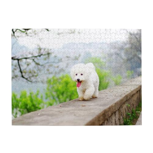 Bichon Frise Park Haustiere Hunde Bichon Frise Hunde, 500 Teile Puzzle für Erwachsene – Holzpuzzle für Erwachsene und ältere Menschen Bichon Frise Park Haustiere Hunde Bichon Frise Hunde, 500 Teile Puzzle für Erwachsene – Holzpuzzle für Erwachsene und ältere Menschen von BYwenhopnbs