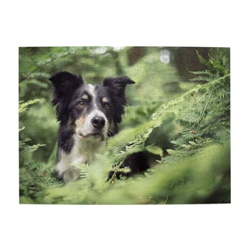 Border Collie Hunde Bokeh Haustiere Schwarz Weiß, 500 Teile Puzzle für Erwachsene – Holzpuzzle für Erwachsene und ältere Menschen Border Collie Hunde Bokeh Haustiere Schwarz Weiß, 500 Teile Puzzle für Erwachsene – Holzpuzzle für Erwachsene und ältere Menschen von BYwenhopnbs