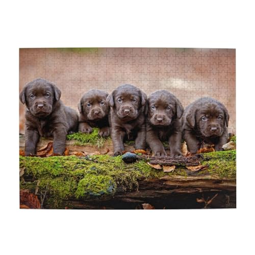Labrador-Welpen, braune kleine Welpenfamilie, 500-teiliges Puzzle für Erwachsene – Holzpuzzle für Erwachsene und ältere Menschen Labrador-Welpen, braune kleine Welpenfamilie, 500-teiliges Puzzle für Erwachsene – Holzpuzzle für Erwachsene und ältere Menschen von BYwenhopnbs