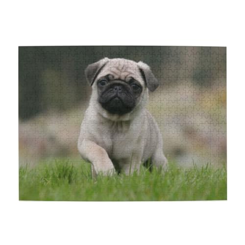 Mops Bokeh Welpen Hunde Rasen Haustiere Mops, 500 Teile Puzzle für Erwachsene – Holzpuzzle für Erwachsene und ältere Menschen Mops Bokeh Welpen Hunde Rasen Haustiere Mops, 500 Teile Puzzle für Erwachsene – Holzpuzzle für Erwachsene und ältere Menschen von BYwenhopnbs