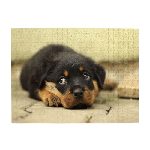 Rottweiler-Hunde, süße Hunde, Welpen, Haustiere, klein, 500-teiliges Puzzle für Erwachsene – Holzpuzzle für Erwachsene und ältere Menschen Rottweiler-Hunde, süße Hunde, Welpen, Haustiere, klein, 500-teiliges Puzzle für Erwachsene – Holzpuzzle für Erwachsene und ältere Menschen von BYwenhopnbs