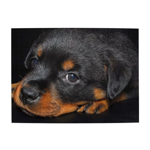 Rottweiler-Welpen, Haustiere, kleine Rottweiler-Hunde, 500-teiliges Puzzle für Erwachsene – Holzpuzzle für Erwachsene und ältere Menschen Rottweiler-Welpen, Haustiere, kleine Rottweiler-Hunde, 500-teiliges Puzzle für Erwachsene – Holzpuzzle für Erwachsene und ältere Menschen von BYwenhopnbs