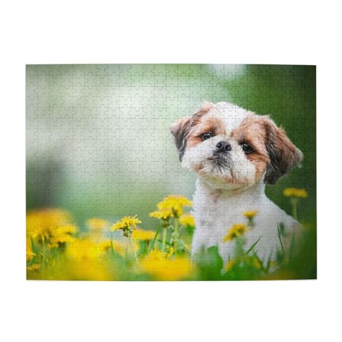 Shih Tzu, kleine süße Hunde, lockiges Welpen-Haustierfeld, 500-teiliges Puzzle für Erwachsene – Holzpuzzle für Erwachsene und ältere Menschen Shih Tzu, kleine süße Hunde, lockiges Welpen-Haustierfeld, 500-teiliges Puzzle für Erwachsene – Holzpuzzle für Erwachsene und ältere Menschen von BYwenhopnbs