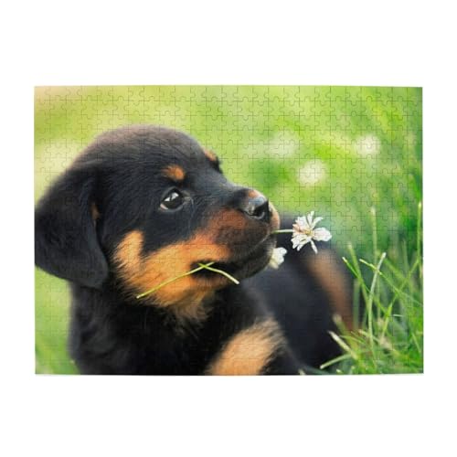 Tierpuzzle, süßer Hund, Welpe, Rottweiler, 500 Teile, Puzzle für Erwachsene, Holzpuzzle für Erwachsene und ältere Menschen Tierpuzzle, süßer Hund, Welpe, Rottweiler, 500 Teile, Puzzle für Erwachsene, Holzpuzzle für Erwachsene und ältere Menschen von BYwenhopnbs