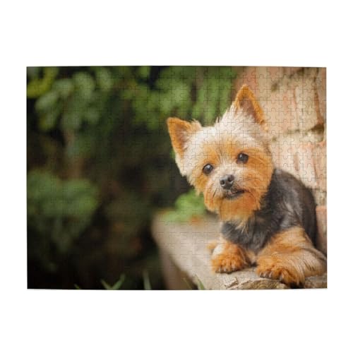 Yorkshire Terrier Bokeh Niedliche Hunde Wand, 500 Teile Puzzle für Erwachsene – Holzpuzzle für Erwachsene und ältere Menschen Yorkshire Terrier Bokeh Niedliche Hunde Wand, 500 Teile Puzzle für Erwachsene – Holzpuzzle für Erwachsene und ältere Menschen von BYwenhopnbs