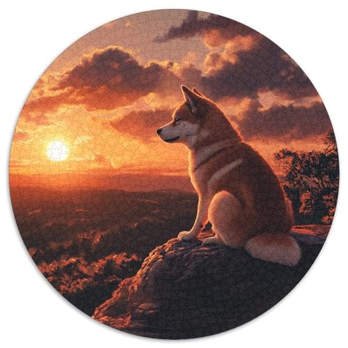 Akita Hund 1000 Stück Animation Puzzles-Geschenk Clever Rätsel Für Erwachsene Und Kinder 1000pcs (67.5x67.5cm) von BZZOLASP