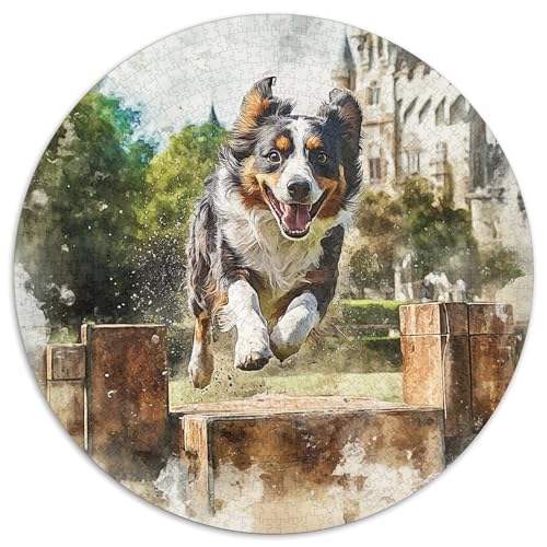 Australischer Schäfer 1000 Stück Animation Puzzle Für Erwachsene Impossible Spiel Clever Rätsel Für Erwachsene Und Kinder 1000pcs (67.5x67.5cm) von BZZOLASP