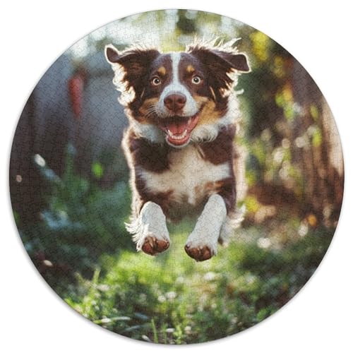 Australischer Schäfer 1000 Stück Animation Puzzles-Geschenk Farbenfrohes Clever Rätsel Für Erwachsene Und Kinder 1000pcs (67.5x67.5cm) von BZZOLASP