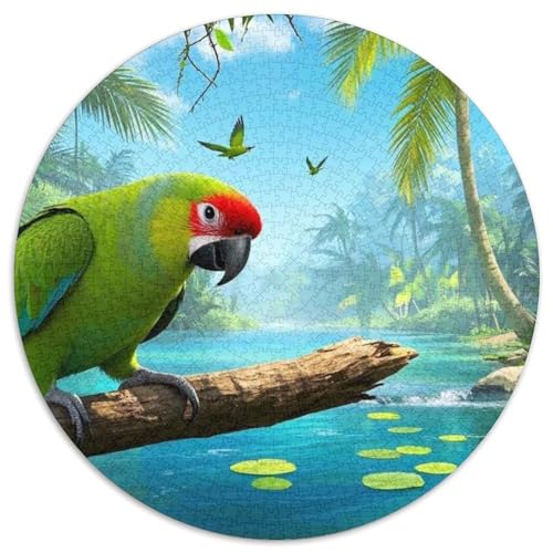 Eclectus Papagei 1000 Teile Wildtiere Jigsaw Puzzles Impossible Game Farbenfrohes Für Erwachsene Und Kinder 1000pcs (67.5x67.5cm) von BZZOLASP