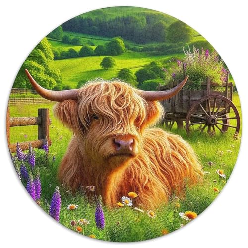 Highland Katzetle 1000 Teile Highland Katzetle Jigsaw Puzzles Impossible Game Clever Rätsel Für Erwachsene Und Kinder 1000pcs (67.5x67.5cm) von BZZOLASP