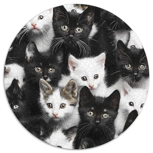 Katze 1000 Stück Puzzle Für Erwachsene Farbenfrohes Für Erwachsene Und Kinder 1000pcs (67.5x67.5cm) von BZZOLASP
