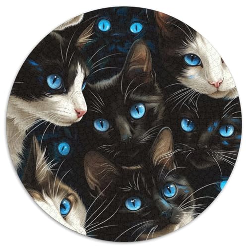 Katze 1000 Stück Puzzles-Geschenk Impossible Spiel Farbenfrohes Für Erwachsene Und Kinder 1000pcs (67.5x67.5cm) von BZZOLASP