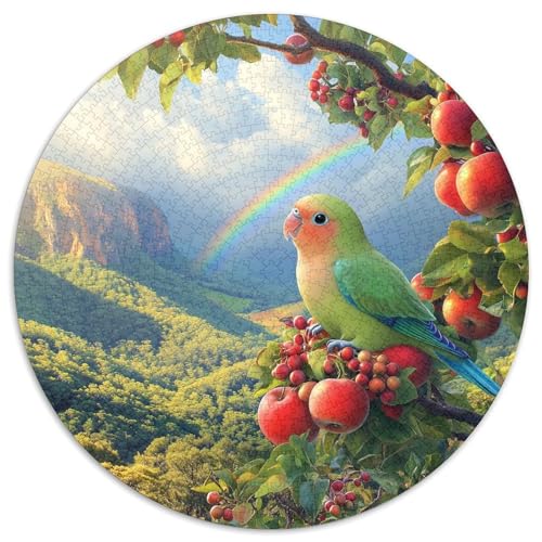 Papagei 1000 Stück Animation Challenge Puzzle Clever Rätsel Farbenfrohes Für Erwachsene Und Kinder 1000pcs (67.5x67.5cm) von BZZOLASP