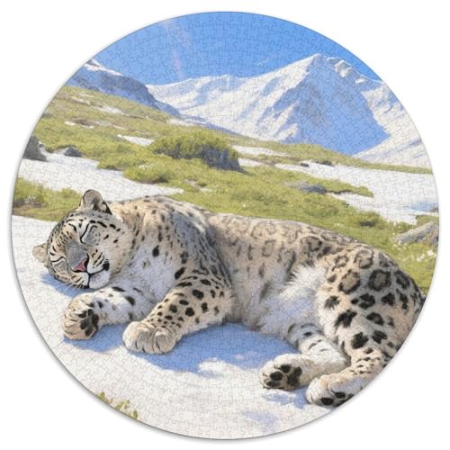 Schneeleopard 1000 Stück Wildtiere Challenge Puzzle Clever Rätsel Farbenfrohes Für Erwachsene Und Kinder 1000pcs (67.5x67.5cm) von BZZOLASP