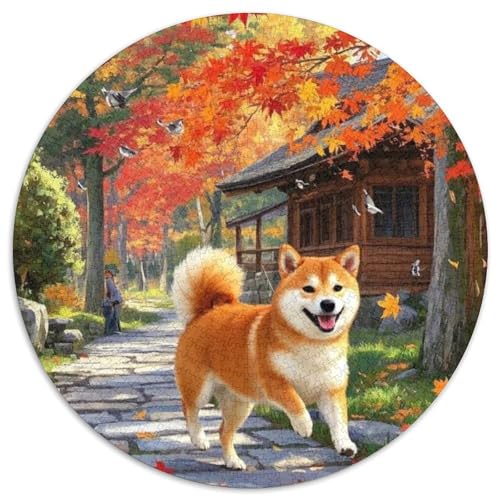 Shiba Inu 1000 Stück Jigsaw Puzzles Clever Rätsel Für Erwachsene Und Kinder 1000pcs (67.5x67.5cm) von BZZOLASP
