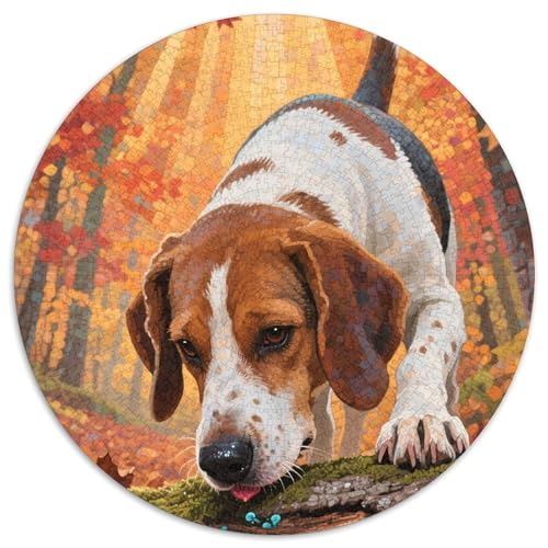 Springer Spaniel 1000 Stück Haustier Herausforderndes Puzzle Clever Rätsel Farbenfrohes Für Erwachsene Und Kinder 1000pcs (67.5x67.5cm) von BZZOLASP