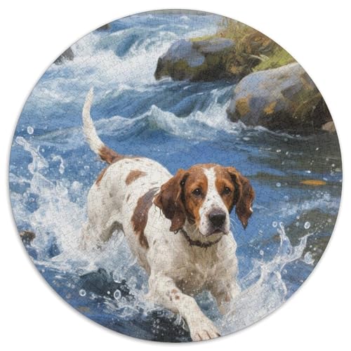 Springer Spaniel 1000 Stück Haustier Puzzle Für Erwachsene Impossible Game Clever Rätsel Für Erwachsene Und Kinder 1000pcs (67.5x67.5cm) von BZZOLASP