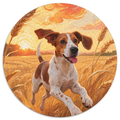 Springer Spaniel 1000 Stück Haustier Puzzle Für Erwachsene Impossible Game Clever Rätsel Für Erwachsene Und Kinder 1000pcs (67.5x67.5cm) von BZZOLASP