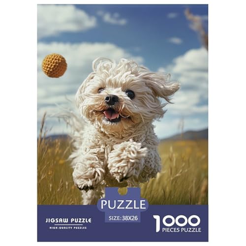 West Highland Weißer Terrier 1000 Teile Animation Puzzles-Geschenk Clever Rätsel Für Erwachsene Und Kinder 38x26cm/1000pcs West Highland Weißer Terrier 1000 Teile Animation Puzzles-Geschenk Clever Rätsel Für Erwachsene Und Kinder 38x26cm/1000pcs von BZZOLASP